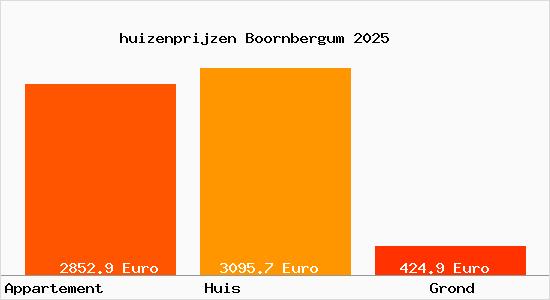 huizenprijzen Boornbergum
